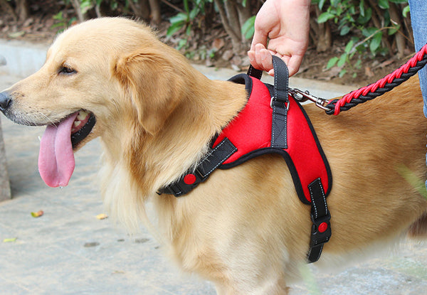 No-Pull Adjustable Pet Dog Harness