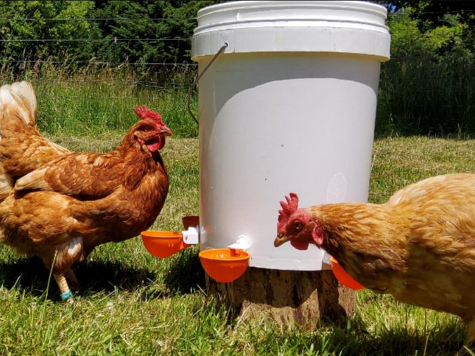 Chicken Water Feeders