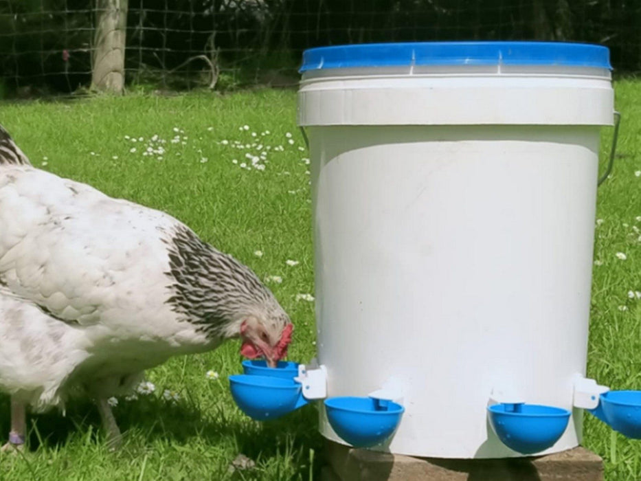 Chicken Water Feeders