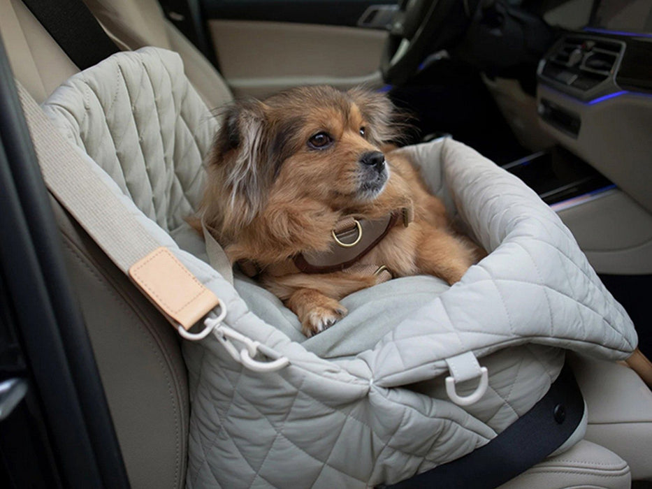 Dog Car Seat Booster