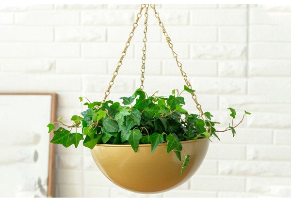 Iron Hanging Flower Pots - 2 Set