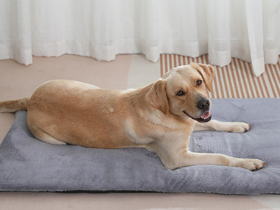 Self-Heating Pet Blanket or Bed