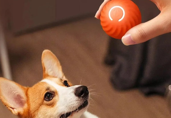 Pet Automatic Rolling Ball Toy