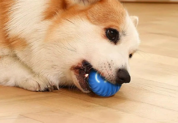 Pet Automatic Rolling Ball Toy