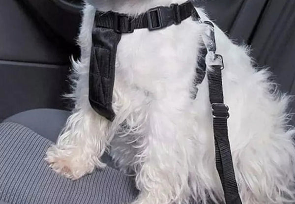 Adjustable Car Pet Safety Seatbelt