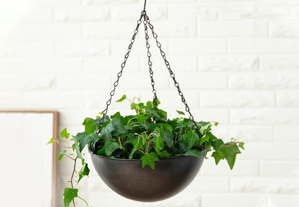 Iron Hanging Flower Pots - 2 Set