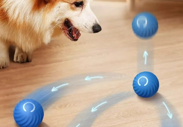 Pet Automatic Rolling Ball Toy