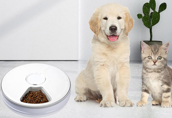 Automatic Pet Feeder with Timer