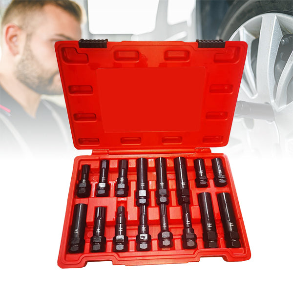Wheel-Lock Removal Tool Kit