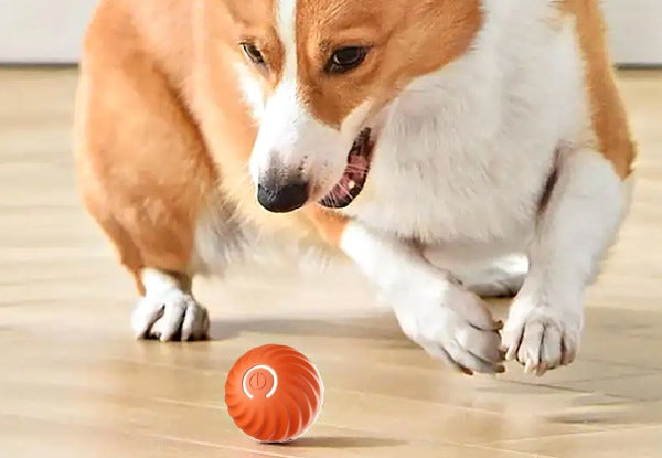 Pet Automatic Rolling Ball Toy