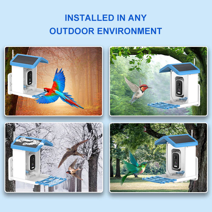 Solar Smart Bird Feeder with Camera & APP