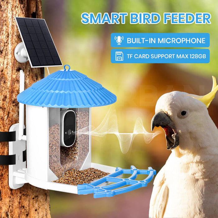 Solar Smart Bird Feeder with Camera & APP