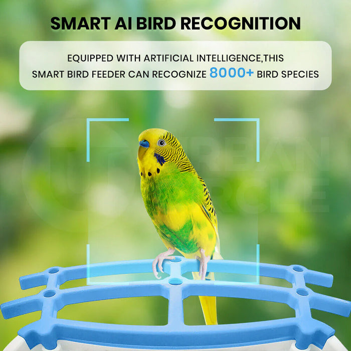 Solar Smart Bird Feeder with Camera & APP