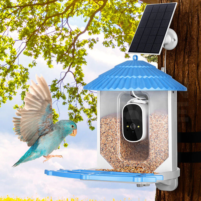 Solar Smart Bird Feeder with Camera & APP