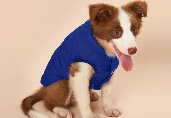 Cosy Winter Dog Jacket