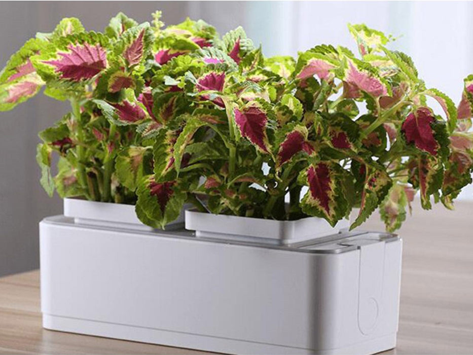 Home Garden Indoor Hydroponic Garden Kit