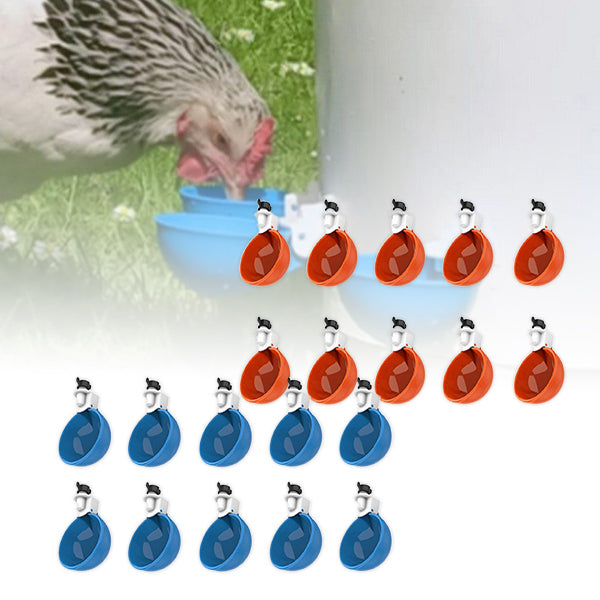 Chicken Water Feeders