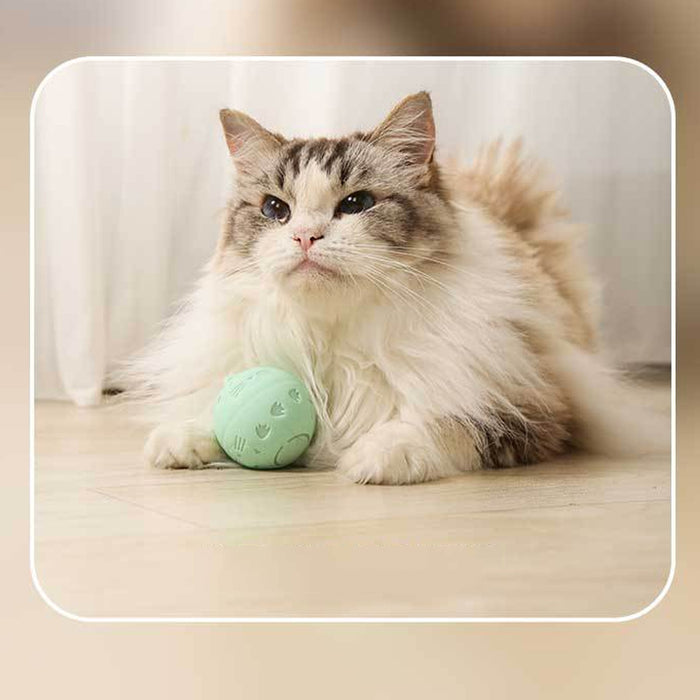 USB Rechargeable Interactive Automatic Bouncing Ball Pet Toy