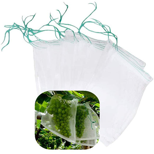 Fruit Protection Nylon Net Bags - 100 Piece