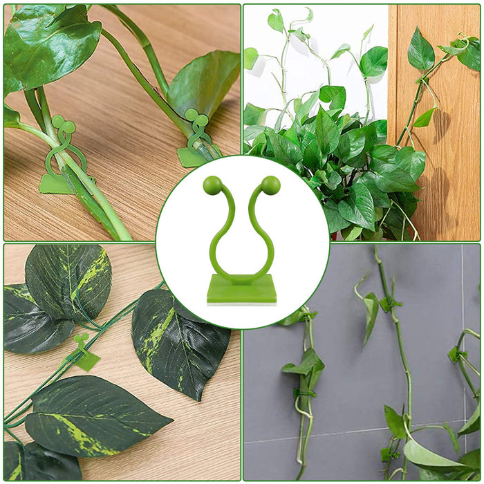 50pcs Wall Mounted Clips for Climbing Plants