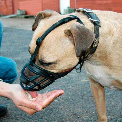 Adjustable Soft Plastic Dog Muzzle   Size Xs Breathable