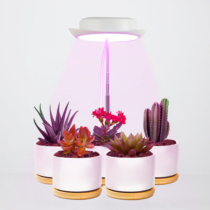 Pack of 2 Full Spectrum LED Growth Light for Indoor Plants