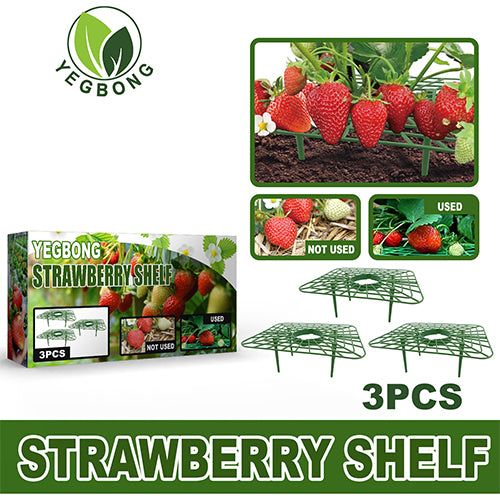 Strawberry Support Frames - 3 Pack