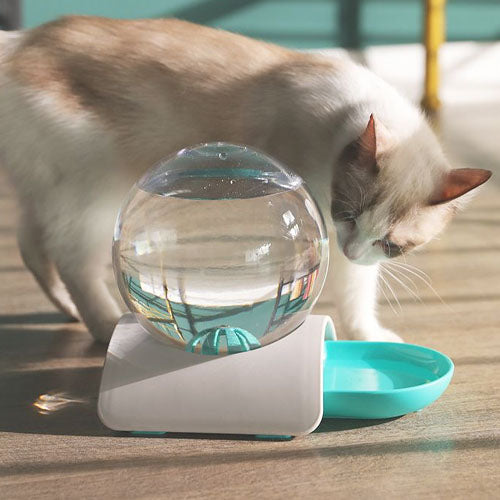 Pet Water Fountain Snail Shape