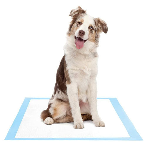 Dog And Puppy Potty Training Pads 45 X 60cm 50 Pieces