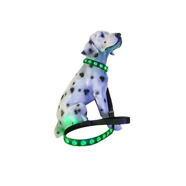 USB LED Light Up Pet Collar