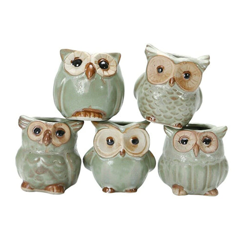 Mini Ceramic Owl Planter Pots Set Of 5