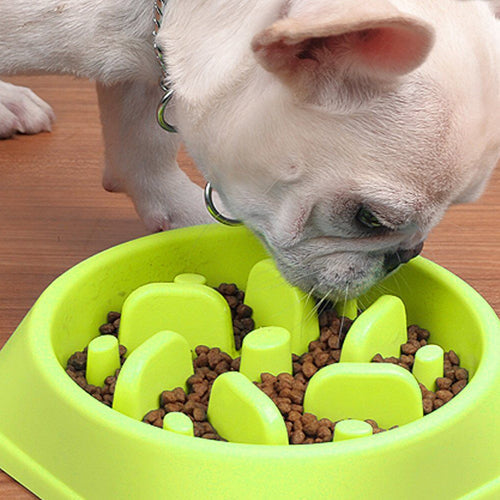 Dog Feeder Slow Eating Bowl - Blue