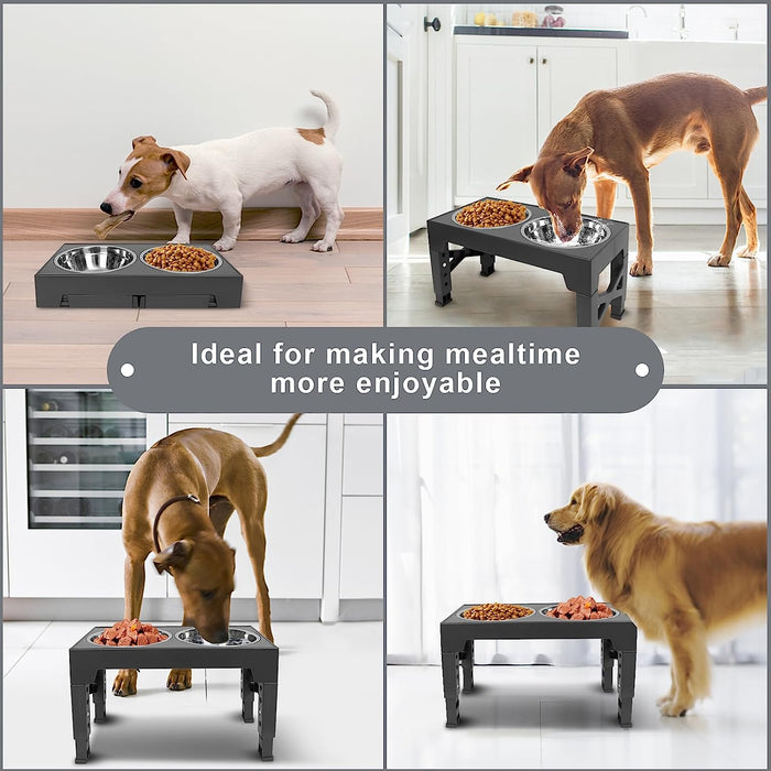 Dog Bowl Feeder Stand