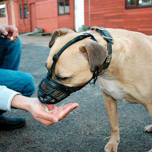 Adjustable Dog Soft Plastic Muzzle Small