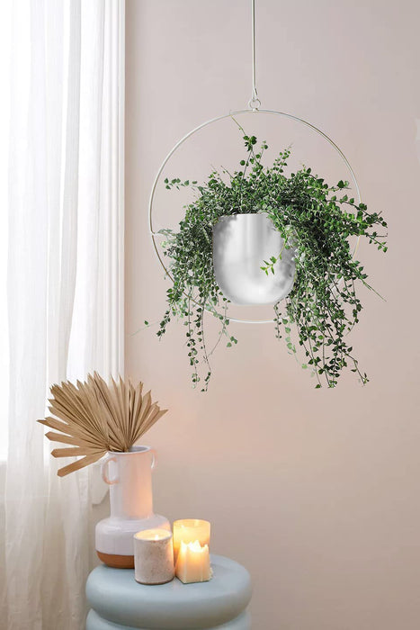 Minimalist Metal Plant Hanger Round Shape Gold