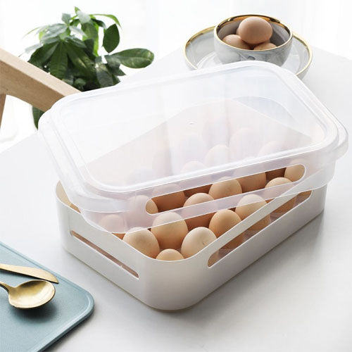 Multifunctional Fridge Tray With Lid