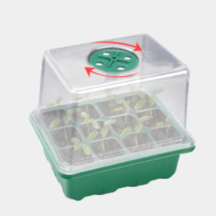 Heightened Seed Box -10 Pack