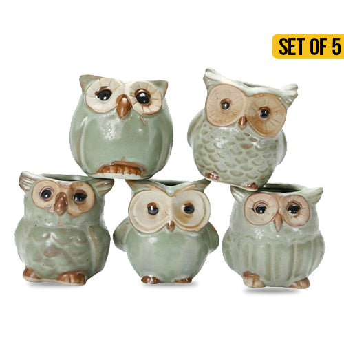 Mini Ceramic Owl Planter Pots Set Of 5