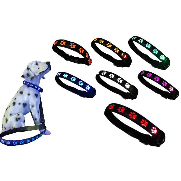 USB LED Light Up Pet Collar