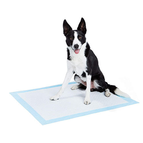 Dog And Puppy Potty Training Pads 45 X 60cm 50 Pieces