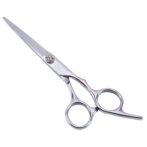 Professional Hairdressing Scissors Set Of 2