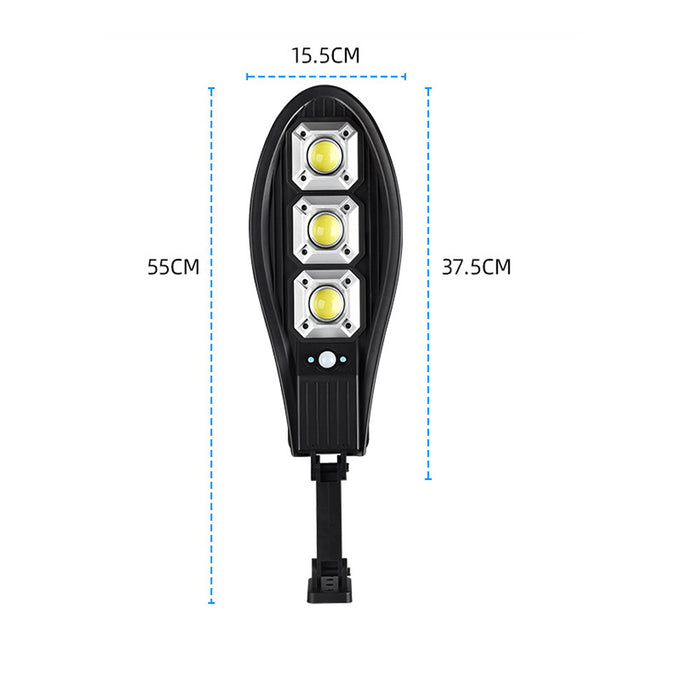 Remote Controlled Human Induction Outdoor Solar Garden Light