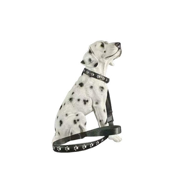 USB LED Light Up Pet Collar