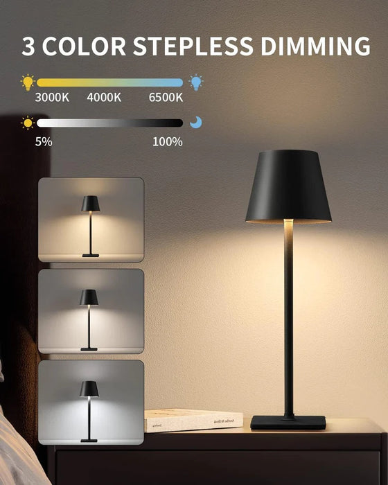 Portable USB Charged LED Desk Lamp