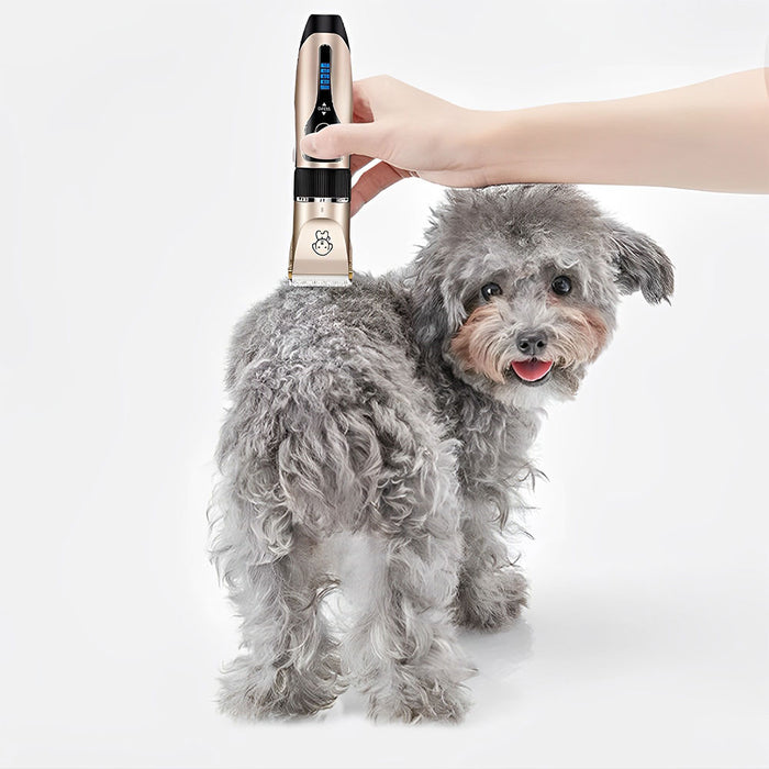 Pet Dog Grooming Clipper Electric Hair Trimmer-USB Rechargeable