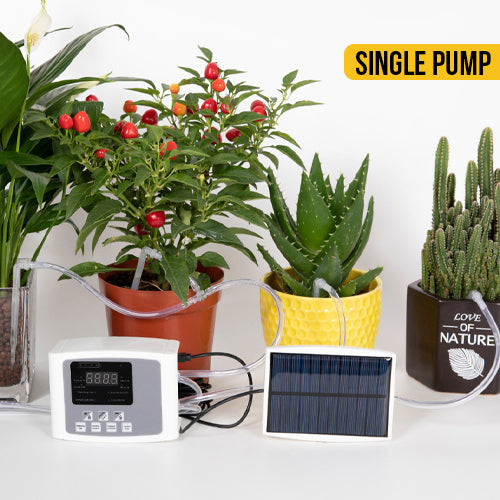Solar Powered Automatic Digital Timer Watering System Single Pump