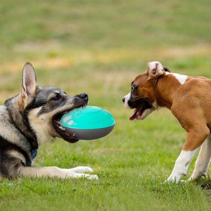 Dog Chew Toy Treat Ball