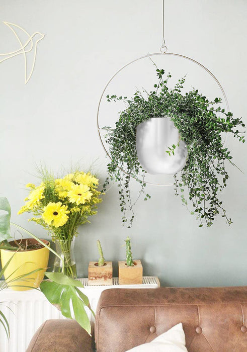 Minimalist Metal Plant Hanger Round Shape Gold