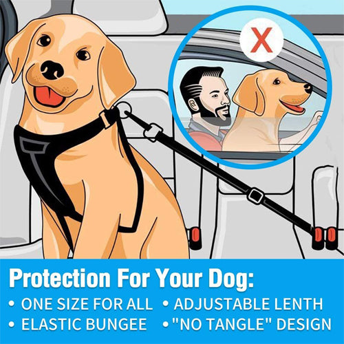 Heavy Duty Pet Car Seat Belt Powerful Elastic Bungee