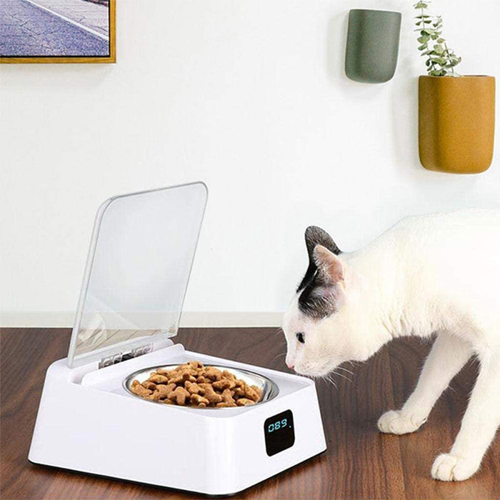 Infrared Sensor Automatic Cat and Dog Feeder Pet Food Bowl-USB Charging